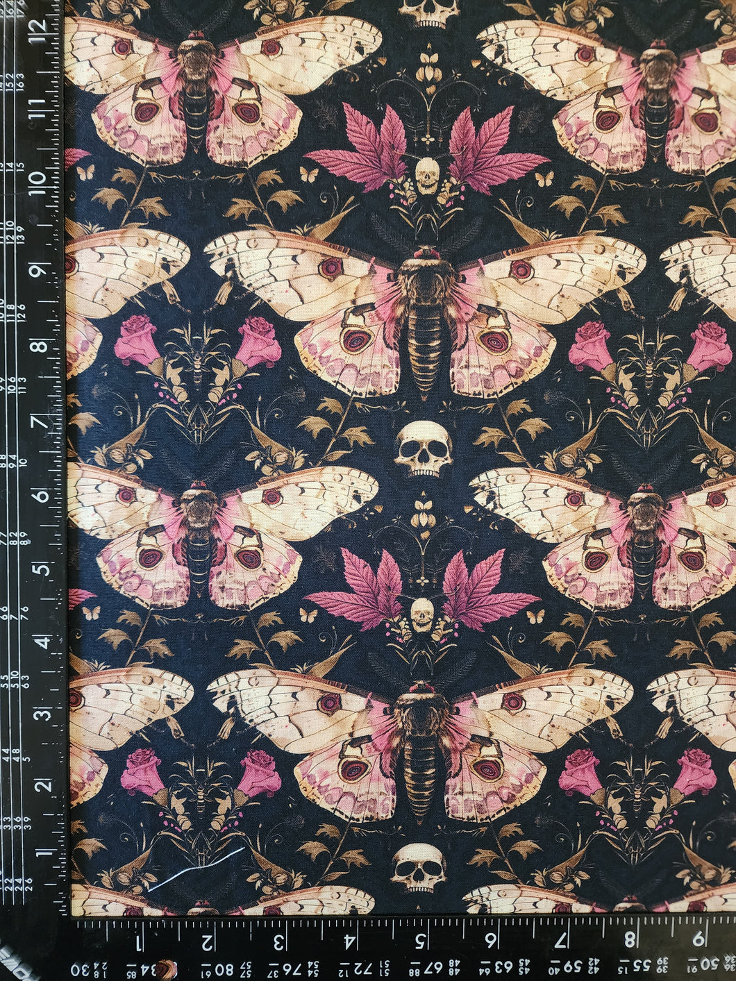 RETAIL CW : Dark Moth