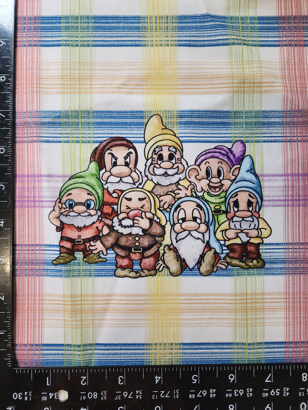 RETAIL CW : Panel - 7 Dwarfs